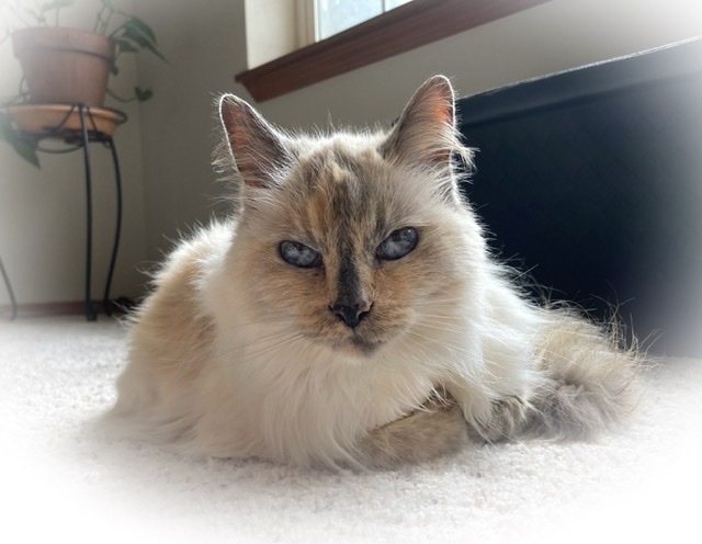 1B84C304-E07A-40FA-BAA7-359FBC16615B