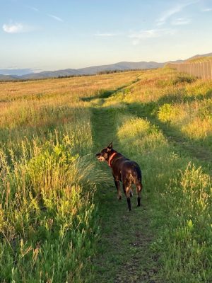 B1838730-E767-4203-ADA4-75F084B7C4A5