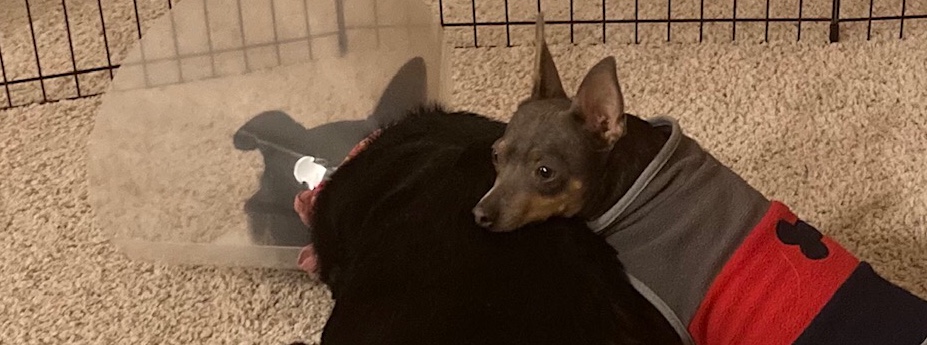 (Just like) Starting&nbsp;Over