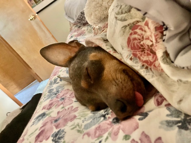 The Mystery of the End of the World . . .&nbsp;SOLVED!